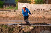 Travel photography:Working the rice fields near Sapa, Vietnam