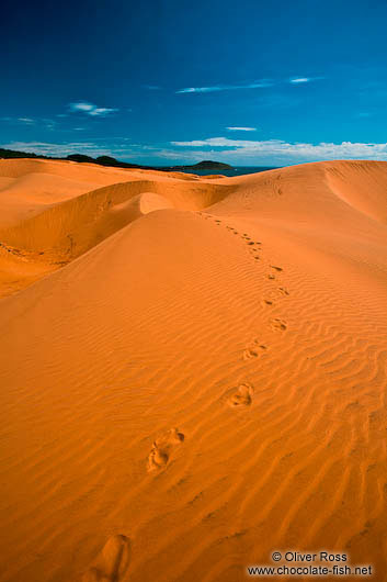 Foot step traces in the giant red sand dunes near Mui Ne 