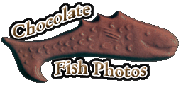 Chocolate Fish Photos