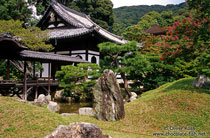 Japan: <b>WITH NEW ADDITIONS!!</b> This Gallery features travel photography showing all the aspects of Japanese life including its ancient culture, modern architecture, and natural beauty. 
