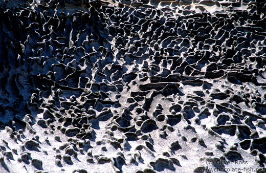 Rock formations at Sydney´s coast