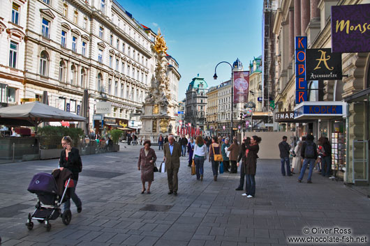 The Vienna Graben 