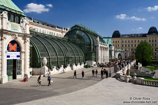 The Palm and Butterfly house in Vienna´s Burggarten