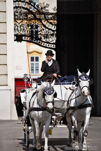 A Fiaker (horse cart for tourists) in Vienna´s  Hofburg