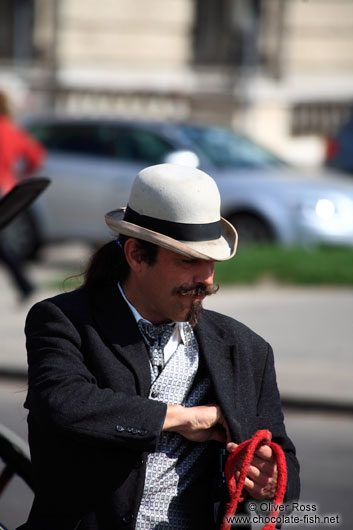 Fiaker driver in Vienna´s Hofburg