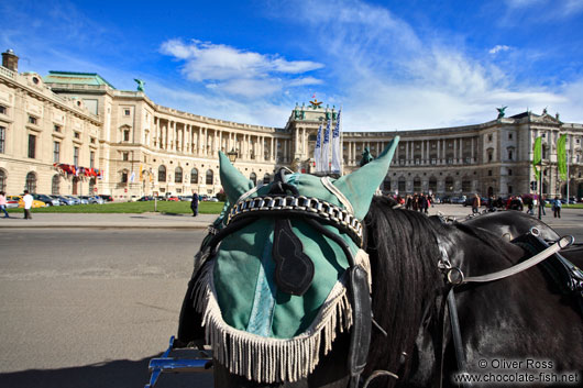 Fiaker Horses in Vienna´s Hofburg