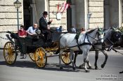 Travel photography:A Fiaker (horse cart for tourists) in Vienna´s  Hofburg, Austria