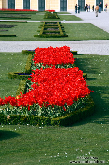 Schönbrunn palace gardens 