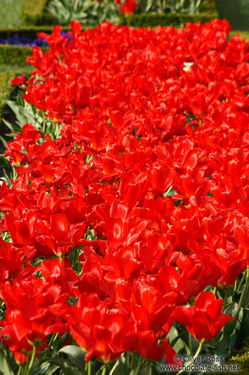 Schönbrunn palace gardens 