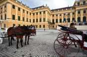 Travel photography:Fiaker (horse carts) outside Schönbrunn palace, Austria