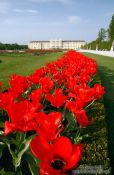 Travel photography:Schönbrunn palace and gardens , Austria