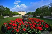 Travel photography:Schönbrunn palace gardens , Austria