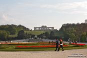 Travel photography:Schönbrunn palace park with Gloriette in the background, Austria