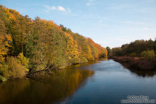 Trees along the Schwentine river near Kiel