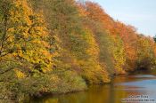 Travel photography:Trees along the Schwentine river near Kiel, Germany