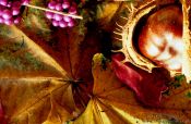 Travel photography:Autumn still life