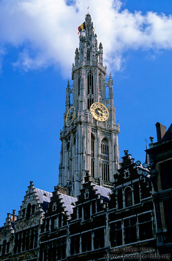 Antwerp cathedral with houses