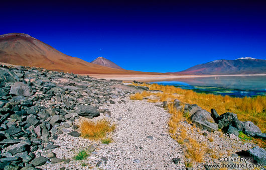 The shores of Laguna Blanca