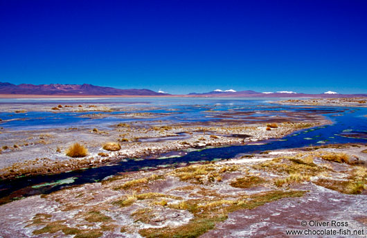 Laguna Salada