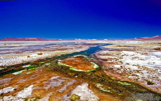 Laguna Salada