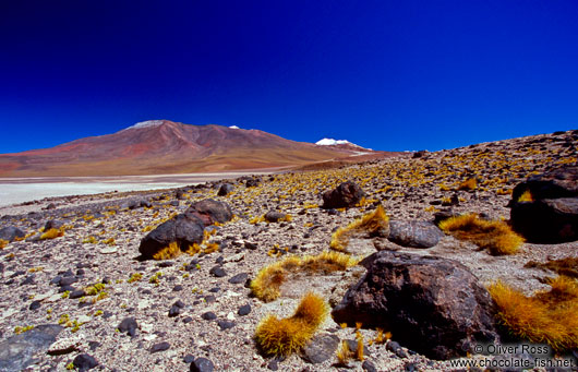 Laguna Verde