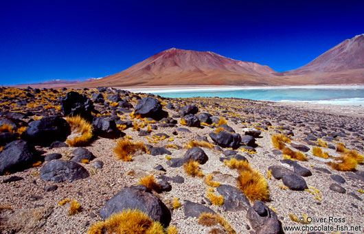 Laguna Verde