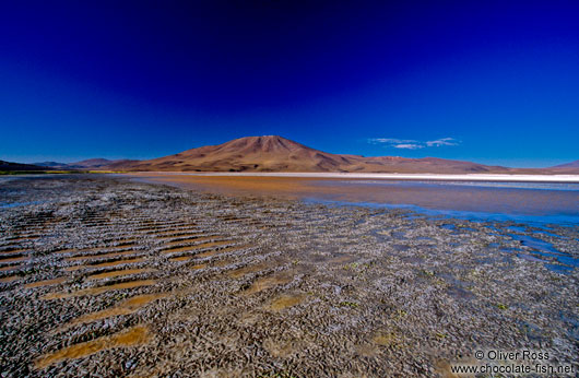 Laguna colorada