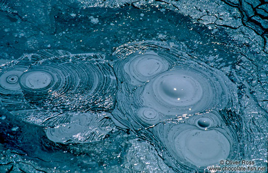 Boiling mud at the Geyser Sol de Mañana, Bolivian altiplano