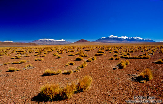 The Altiplano