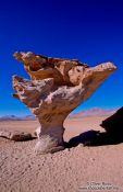 Travel photography:Arbol de pietra (Tree of stone) on the altiplano, Bolivia