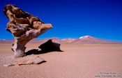 Travel photography:Arbol de pietra (Tree of stone) on the altiplano, Bolivia