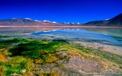 Travel photography:Laguna Blanca, Bolivia