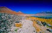 Travel photography:The shores of Laguna Blanca, Bolivia