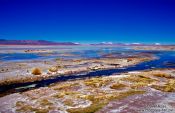 Travel photography:Laguna Salada, Bolivia