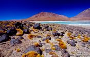 Travel photography:Laguna Verde, Bolivia