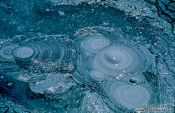 Travel photography:Boiling mud at the Geyser Sol de Mañana, Bolivian altiplano, Bolivia