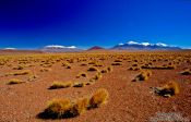 Travel photography:The Altiplano, Bolivia