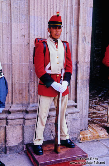 Guard outside the Bolivian Parliament in La Paz
