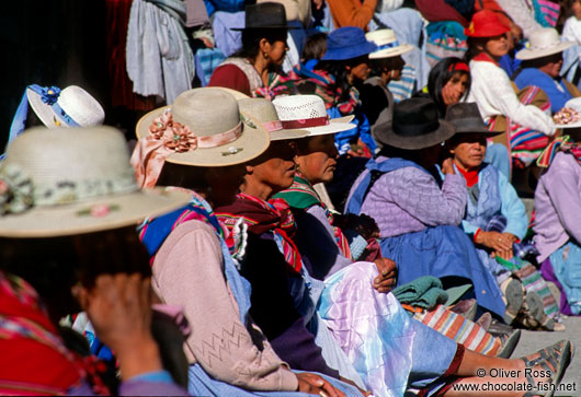 Group of protesters at a demonstration in Potosi