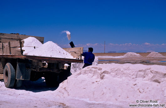 Salt Harvest