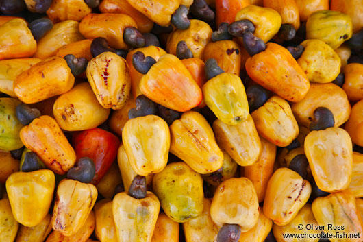 Caju fruit in Salvador de Bahia