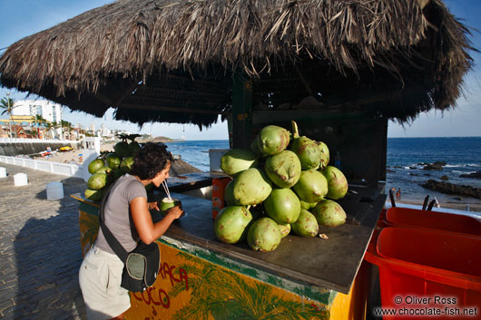 Drinking a refreshing coconut in Salvador de Bahia