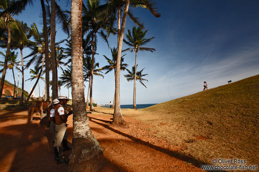 Policemen with horses in Salvador de Bahia