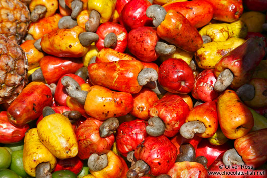 Caju fruit in Valença