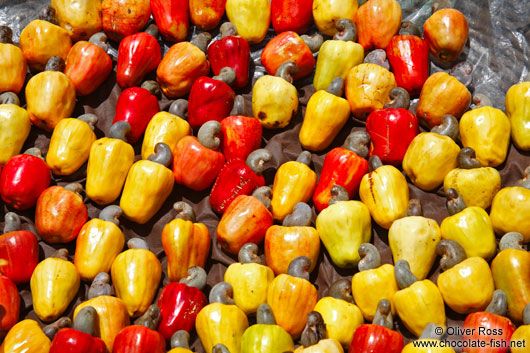 Caju fruit in Valença