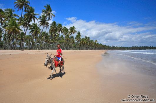 Boy riding a donkey on a Boipeba Island beach