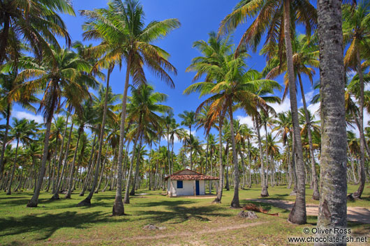 Boipeba Island beach cottage