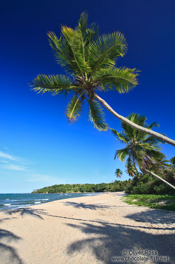 Beach with palms on Boipeba Island
