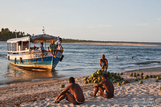 Loading of coconuts on Boipeba Island