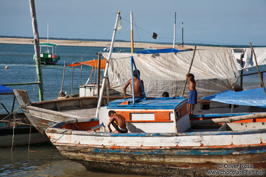 Boats in Boipeba Island harbour 